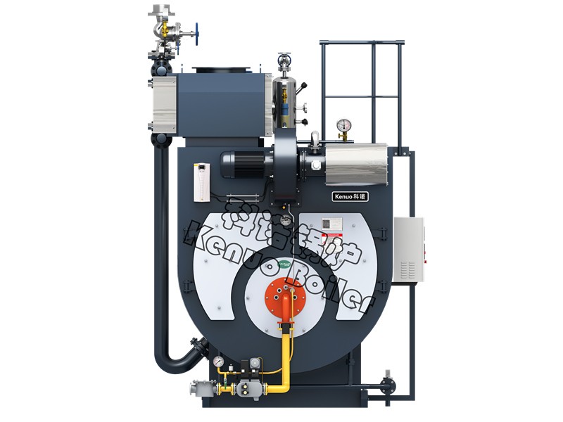 蒸汽锅炉有什么特点