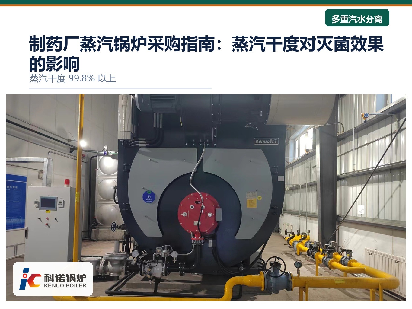 制药厂蒸汽锅炉采购指南：蒸汽干度对灭菌效果的影响