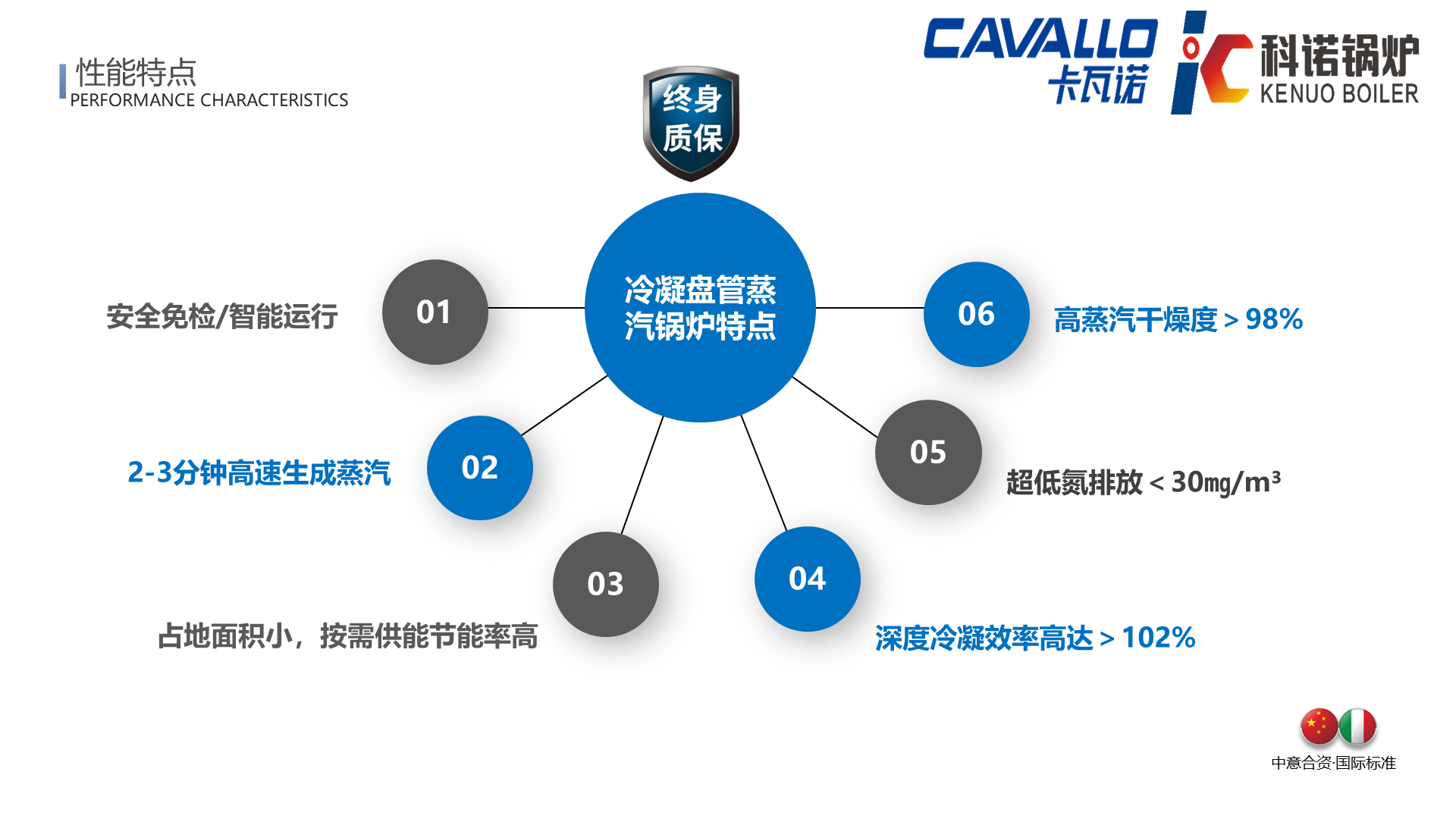 CAVALLO超低氮冷凝盘管蒸汽锅炉（免检50L）-详情5