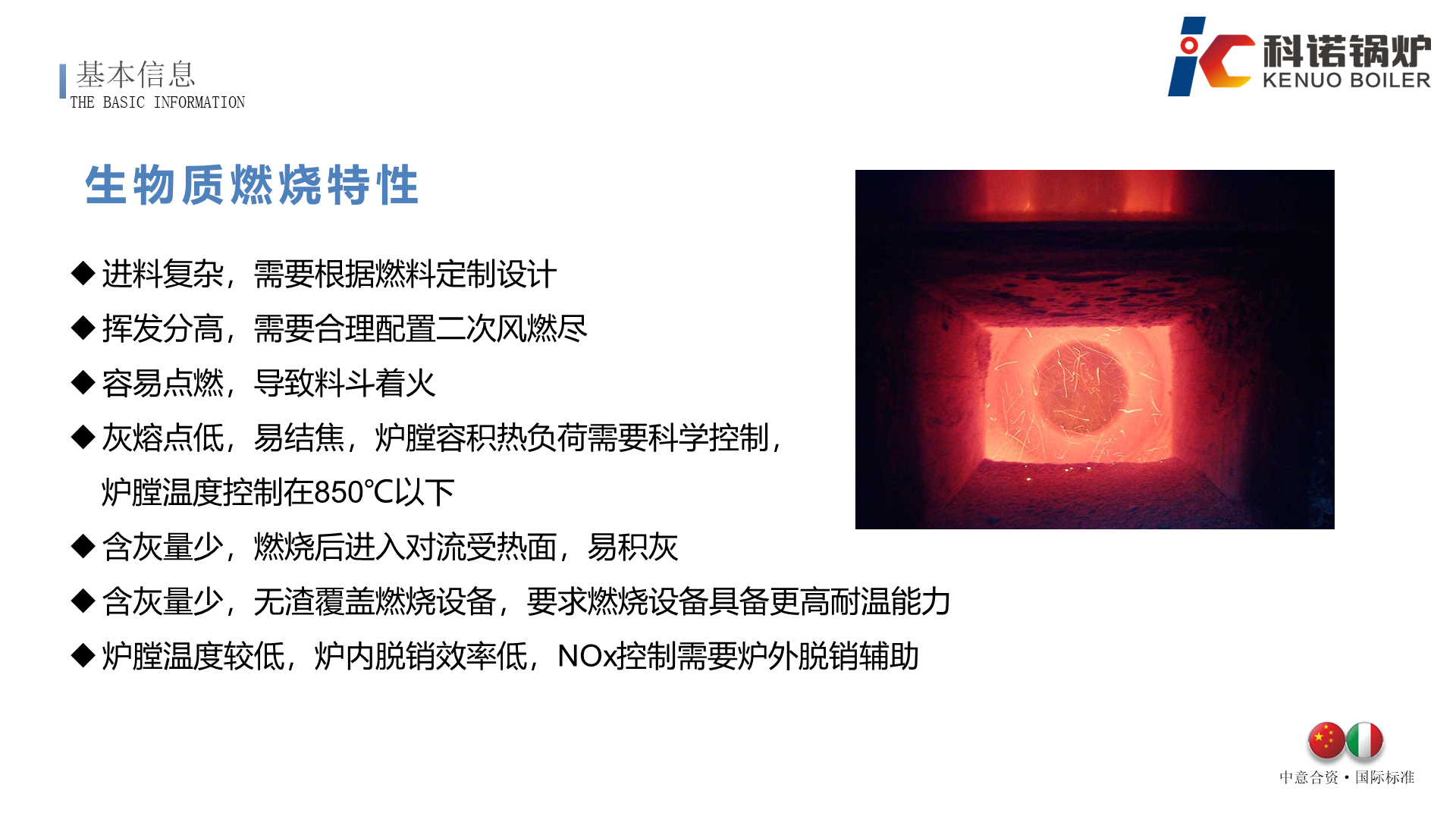 DZ系列集成式生物质蒸汽锅炉-详情6
