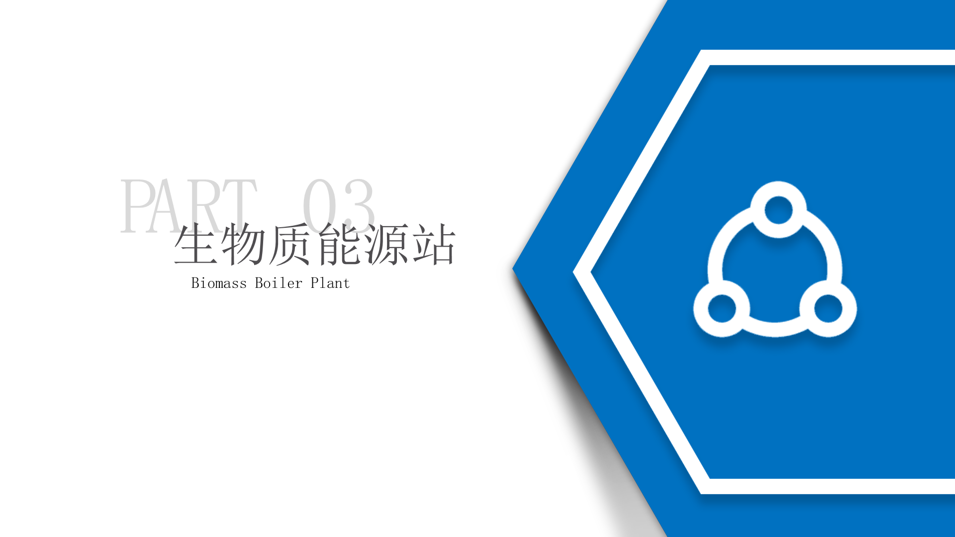 DZ系列集成式生物质蒸汽锅炉-详情23