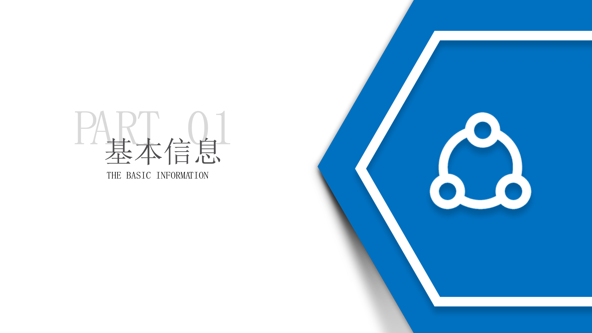 WWS-T系列半气化生物质蒸汽锅炉-详情3